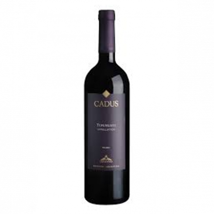 Cadus Tupungato Appellation Malbec 2023