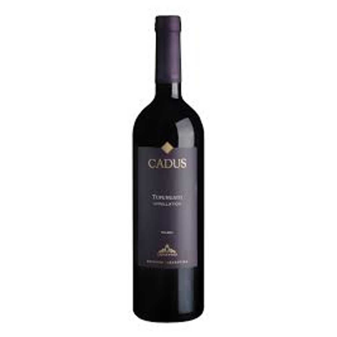 cadus-malbec.png Cadus Tupungato Appellation Malbec 2023 - Image 1